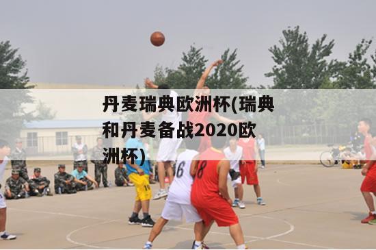 丹麦瑞典欧洲杯(瑞典和丹麦备战2020欧洲杯)